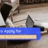 How to Apply for Student Accommodation in the UK
